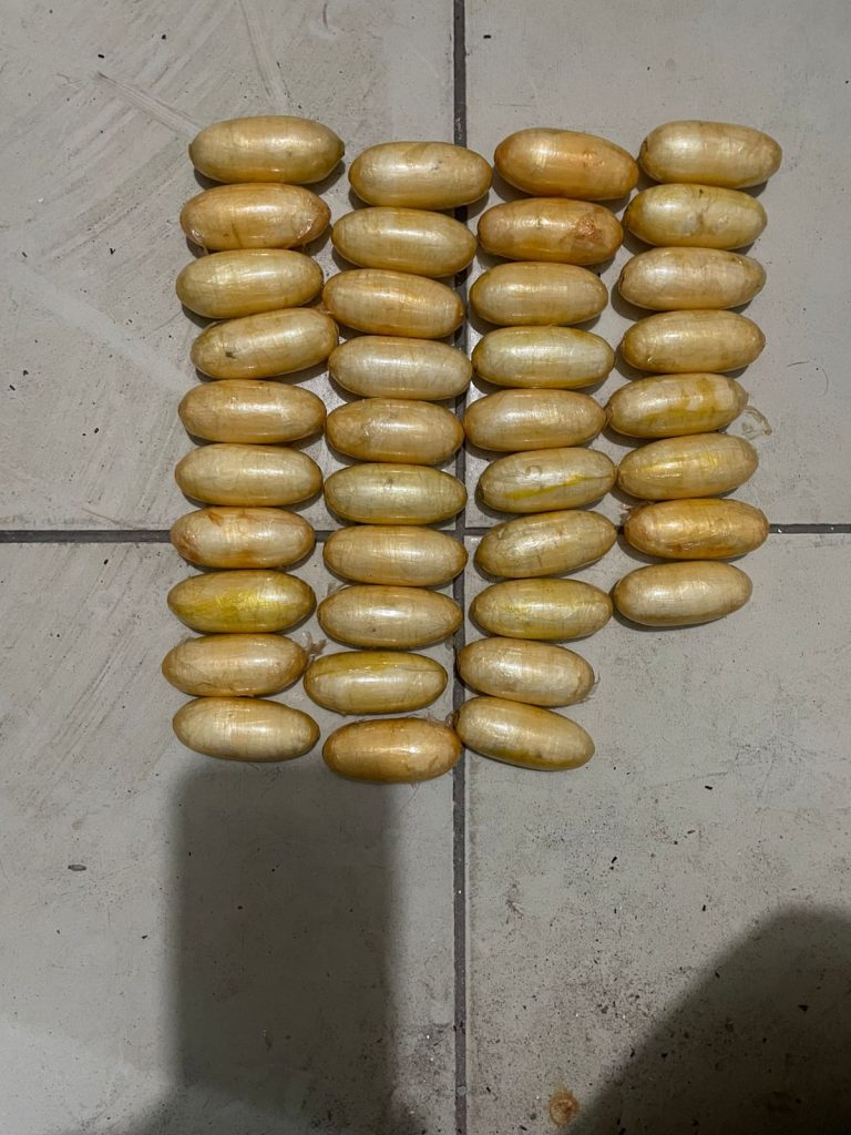 19f530bb-2584-4214-baec-73f2a0678093