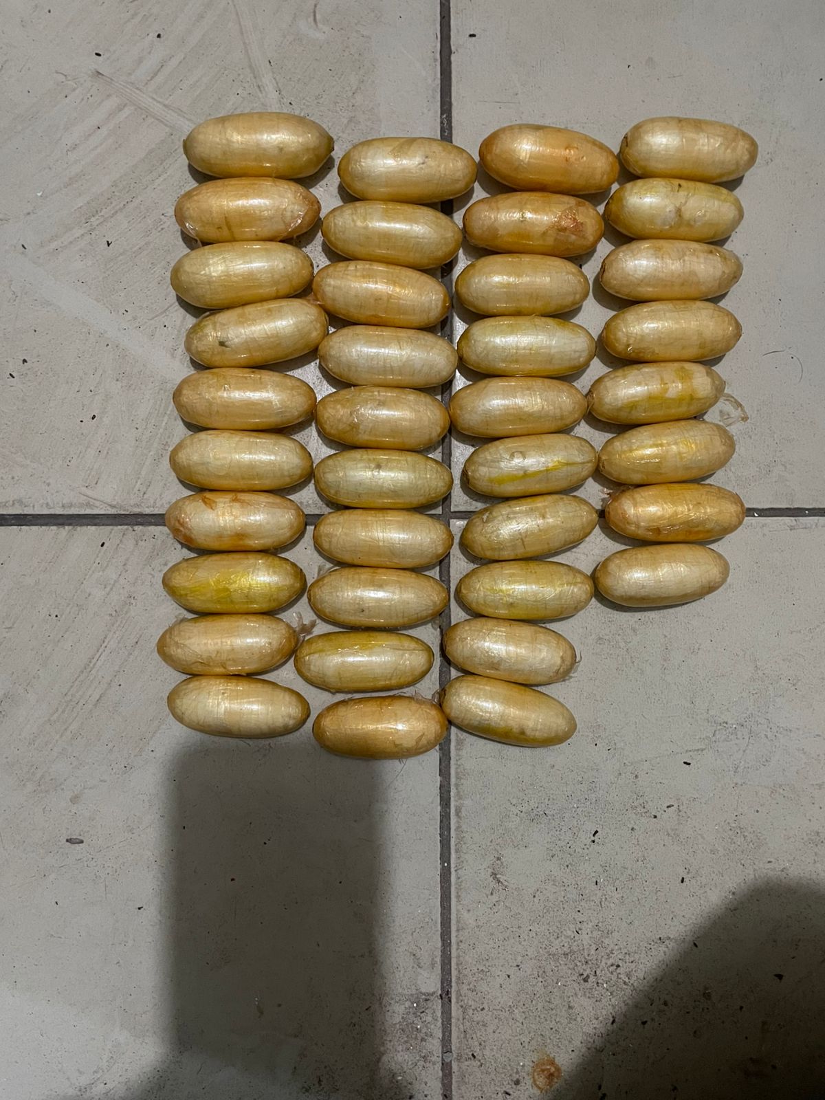 19f530bb-2584-4214-baec-73f2a0678093