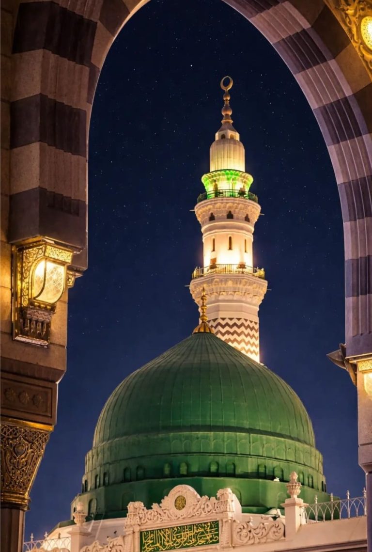 کاش میں خاکِ مدینہ ہوتا تحریر محمد محسن اقبال