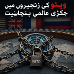 ویٹو کی زنجیروں میں جکڑی عالمی پنچائیت تحریر: محمد محسن اقبال